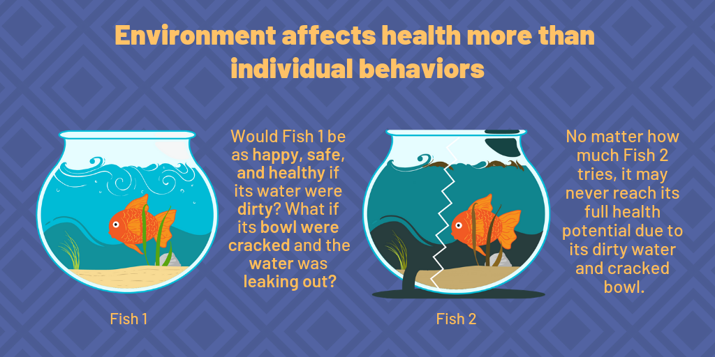 YoungLeadersVisualizeHealthEquityFish-7